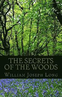 Secrets of the Woods 1