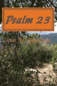 bokomslag Psalm 23