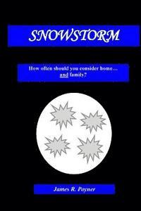 bokomslag Snowstorm