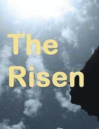 bokomslag The Risen: channeled material