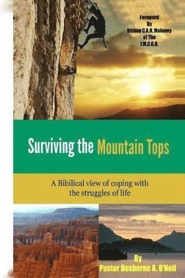 bokomslag Surviving the mountain top