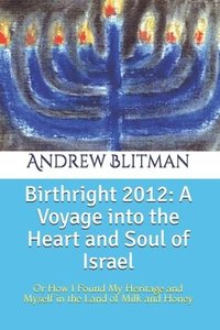 bokomslag Birthright 2012: A Voyage into the Heart and Soul of Israel: Or How I Found My Heritage and Myself in the Land of Milk and Honey