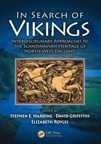 bokomslag In Search of Vikings