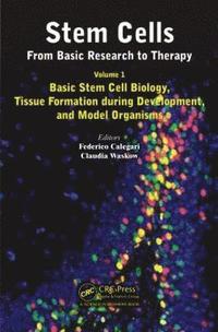 bokomslag Stem Cells: From Basic Research to Therapy, Volume 1