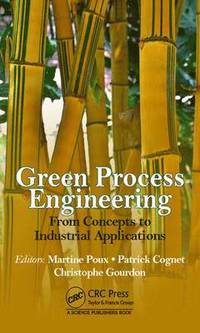bokomslag Green Process Engineering