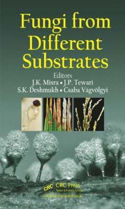 J. K. Misra, Jalpa P. Tewari, Sunil Kumar Deshmukh, Csaba Vágvölgyi, Csaba Vagvolgyi - Fungi From Different Substrates, Inbunden
