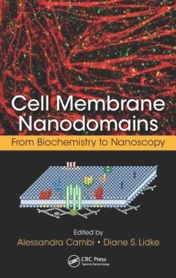 bokomslag Cell Membrane Nanodomains