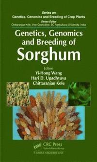 bokomslag Genetics, Genomics and Breeding of Sorghum