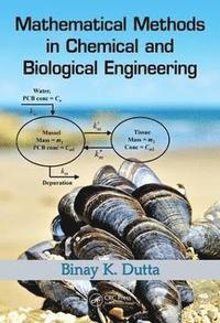 bokomslag Mathematical Methods in Chemical and Biological Engineering