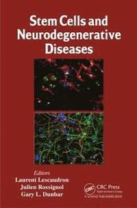bokomslag Stem Cells and Neurodegenerative Diseases