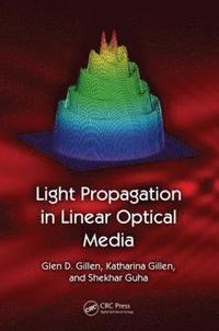 bokomslag Light Propagation in Linear Optical Media