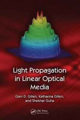 Light Propagation in Linear Optical Media