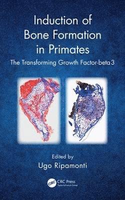 bokomslag Induction of Bone Formation in Primates