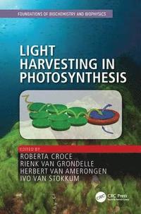 bokomslag Light Harvesting in Photosynthesis
