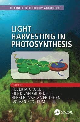 Light Harvesting in Photosynthesis 1