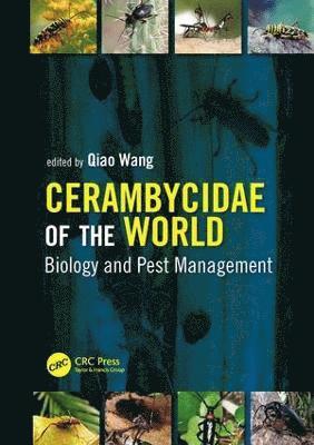 bokomslag Cerambycidae of the World