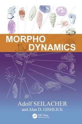 Morphodynamics 1