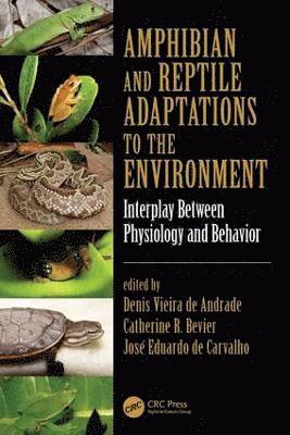 bokomslag Amphibian and Reptile Adaptations to the Environment