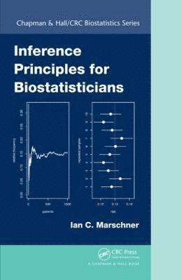 bokomslag Inference Principles for Biostatisticians