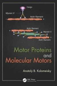 bokomslag Motor Proteins and Molecular Motors