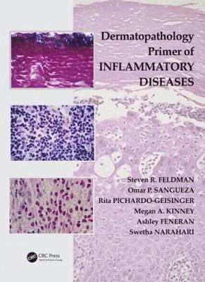 bokomslag Dermatopathology Primer of Inflammatory Diseases