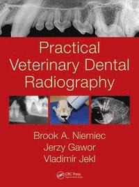 bokomslag Practical Veterinary Dental Radiography