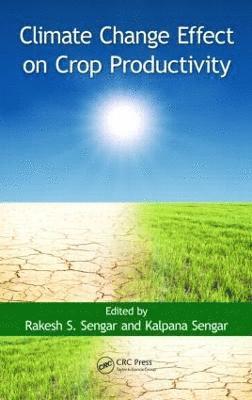 bokomslag Climate Change Effect on Crop Productivity