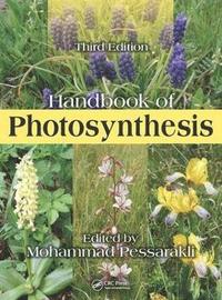 bokomslag Handbook of Photosynthesis