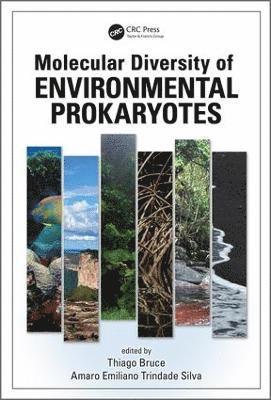 Molecular Diversity of Environmental Prokaryotes 1