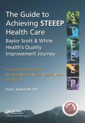 bokomslag The Guide to Achieving STEEEP Health Care