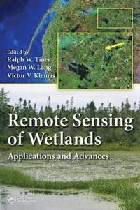 bokomslag Remote Sensing of Wetlands