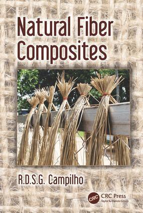 R.D.S.G. Campilho - Natural Fiber Composites, Inbunden