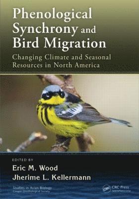 bokomslag Phenological Synchrony and Bird Migration