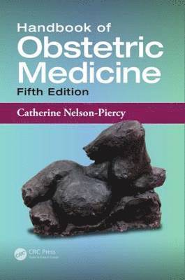 bokomslag Handbook of Obstetric Medicine