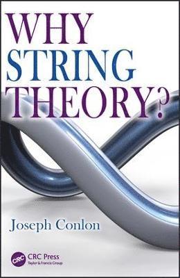 bokomslag Why String Theory?