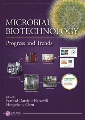 bokomslag Microbial Biotechnology