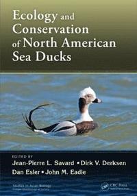 bokomslag Ecology and Conservation of North American Sea Ducks