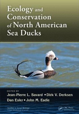 Ecology and Conservation of North American Sea Ducks 1