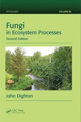 bokomslag Fungi in Ecosystem Processes