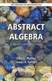 bokomslag Abstract Algebra