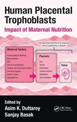 Human Placental Trophoblasts 1