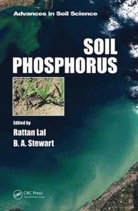 bokomslag Soil Phosphorus