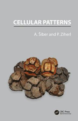 Antonio Siber, Primoz Ziherl - Cellular Patterns, Inbunden