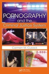 bokomslag Pornography and The Criminal Justice System