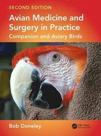 bokomslag Avian Medicine and Surgery in Practice