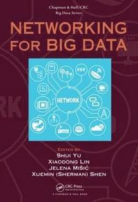 bokomslag Networking for Big Data