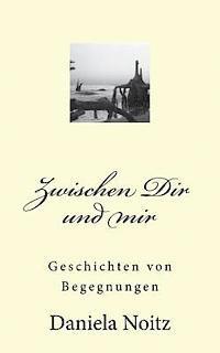 bokomslag Zwischen Dir und mir: Geschichten von Begegnungen