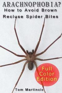 Arachnophobia? How to Avoid Brown Recluse Spider Bites 1