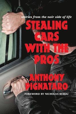 Stealing Cars with the Pros: Stories from the Noir Side of Life