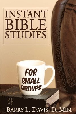 bokomslag Instant Bible Studies for Small Groups